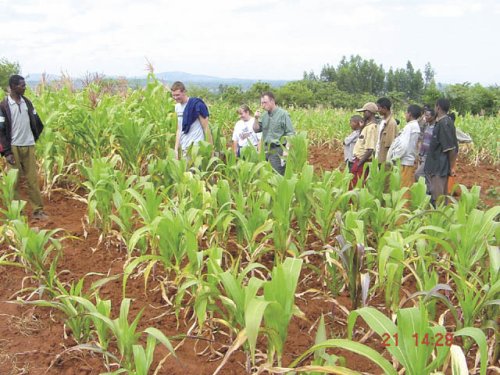 Soil sampling in Awassa region