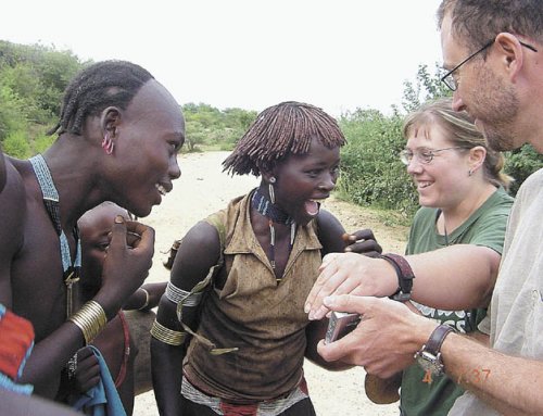Dryland crop trial plots